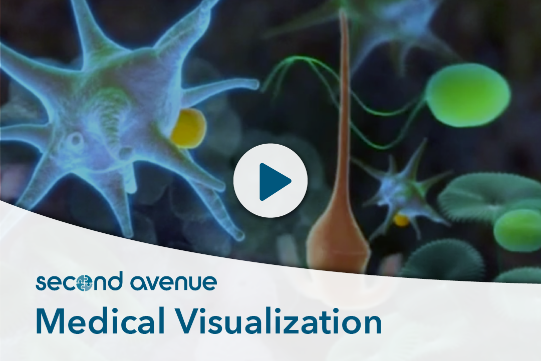 video: Medical Visualization